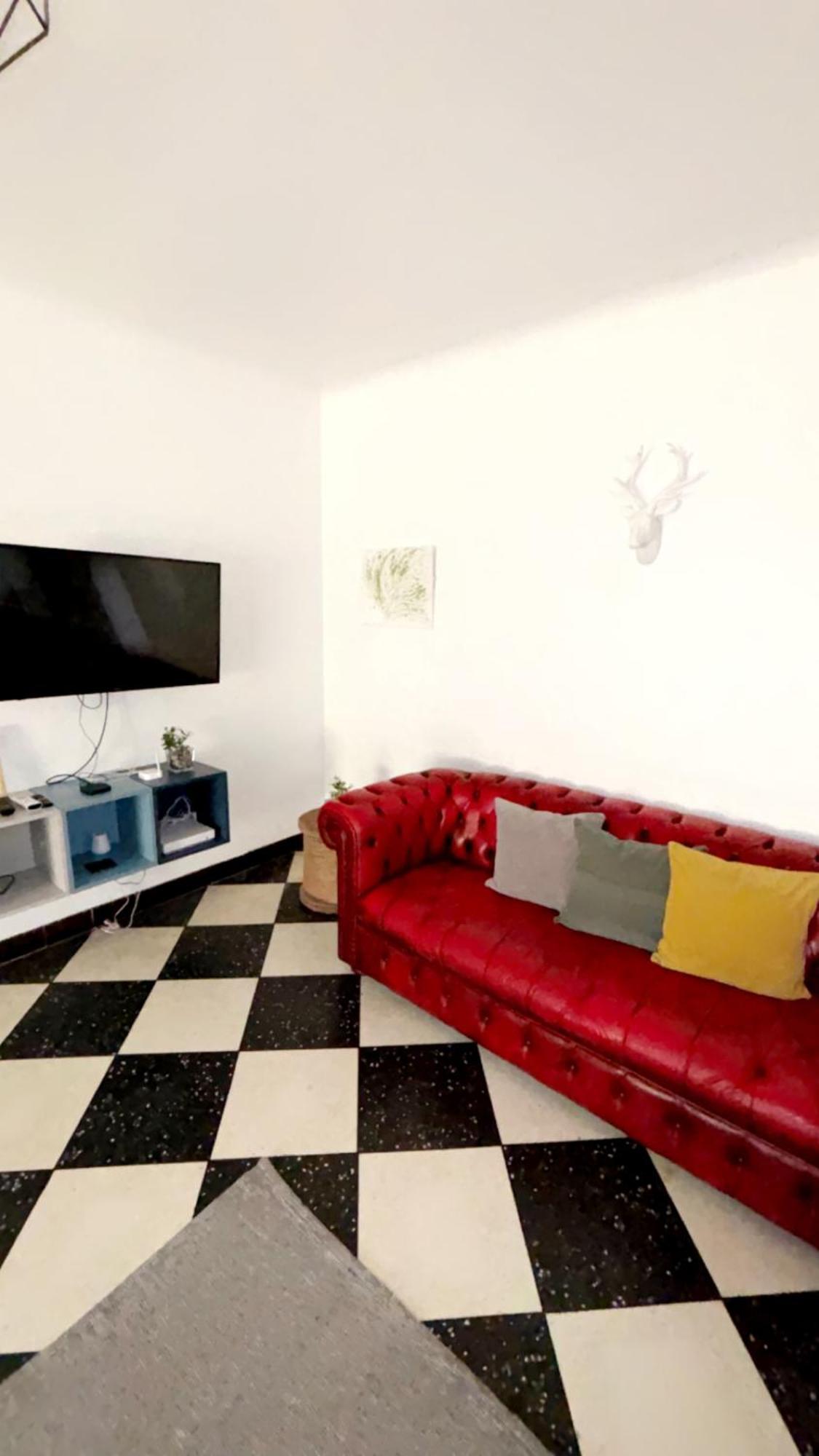 Appartement L'Olivier Arles Ngoại thất bức ảnh