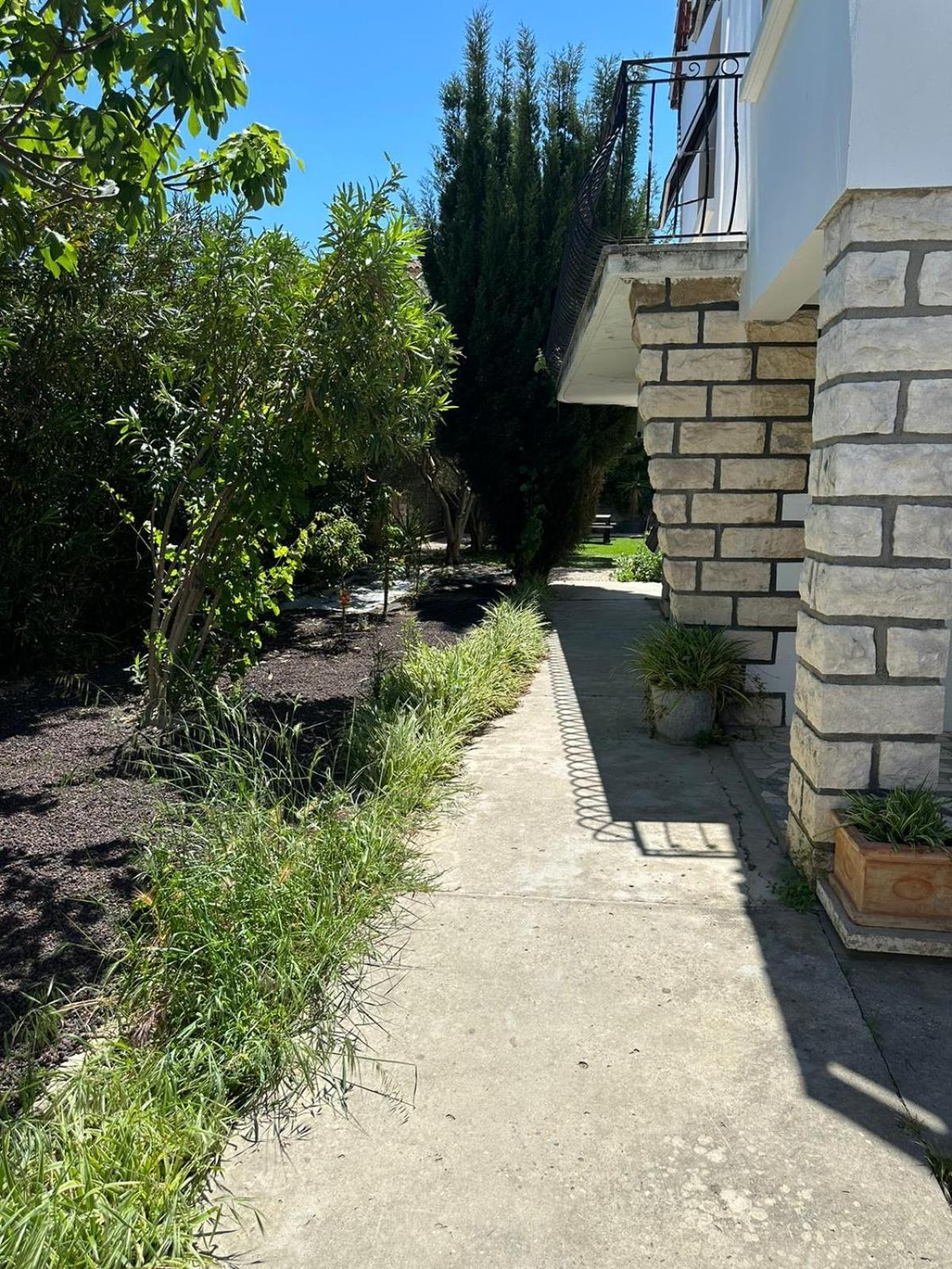 Appartement L'Olivier Arles Ngoại thất bức ảnh
